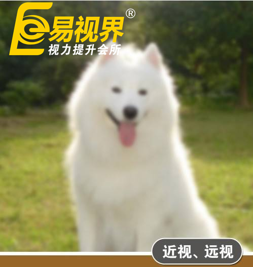 不一樣的眼病，不一樣的世界