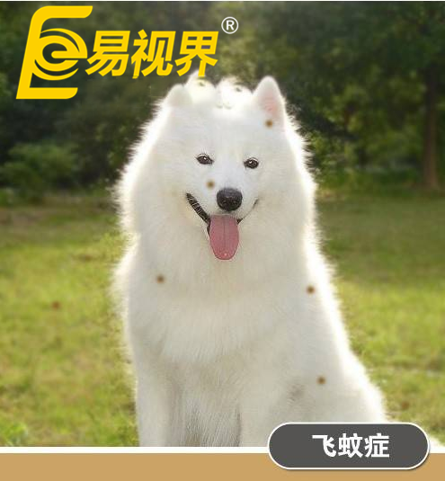 不一樣的眼病，不一樣的世界